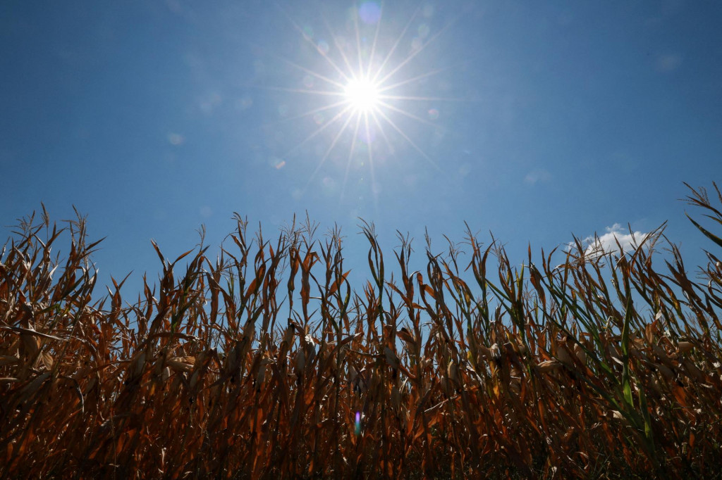 Meteorologick&aacute; služba M&eacute;t&eacute;o-France zaznamenala počas leta celkovo 53 dn&iacute; s podmienkami zodpovedaj&uacute;cimi defin&iacute;cii vlny hor&uacute;čav, čo je &bdquo;&uacute;plne bezprecedentn&yacute; počet&ldquo;. FOTO: Reuters