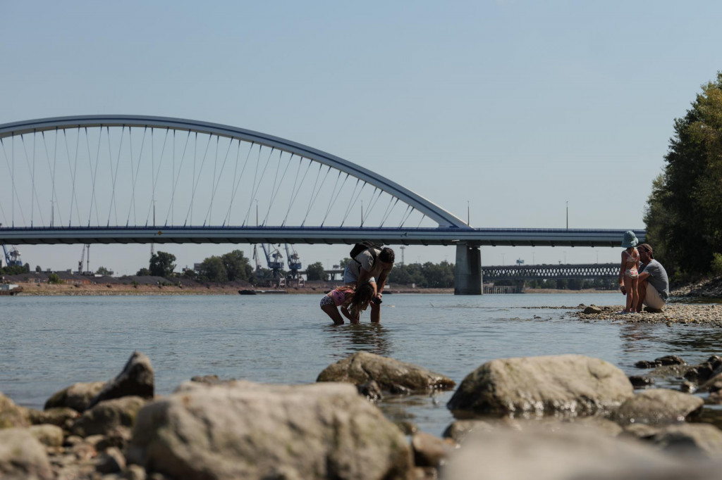 Pohľad z N&aacute;brežn&eacute;ho parku Star&eacute; LIDO v Bratislave, kde sa ľudia osviežuj&uacute; v Dunaji počas hor&uacute;ceho dňa. FOTO: TASR/Ľubo&scaron; Pilc
