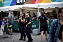 Javor, ktor&yacute; vysadili v auguste v berl&iacute;nskom parku Tiergarten, bol vytrhnut&yacute; zo zeme v predvečer d&ocirc;ležit&yacute;ch krajinsk&yacute;ch volieb v susednej spolkovej krajine Sasko-Anhaltsko. FOTO: Reuters