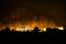 Plamene lesn&eacute;ho požiaru v bl&iacute;zkosti Antalye. FOTO: TASR/AP